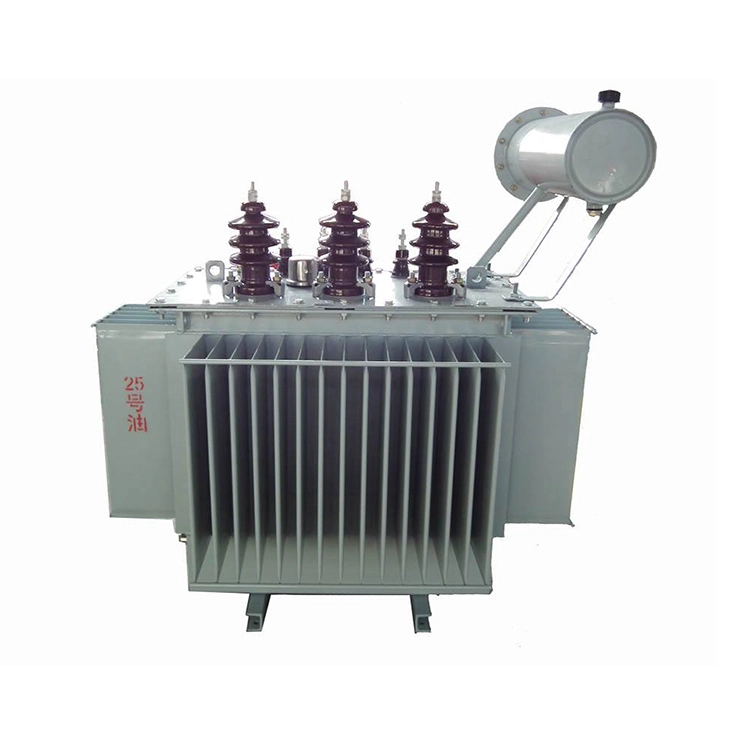 Transformateur rempli d'huile S11 100 Kva 6.3kv 400v